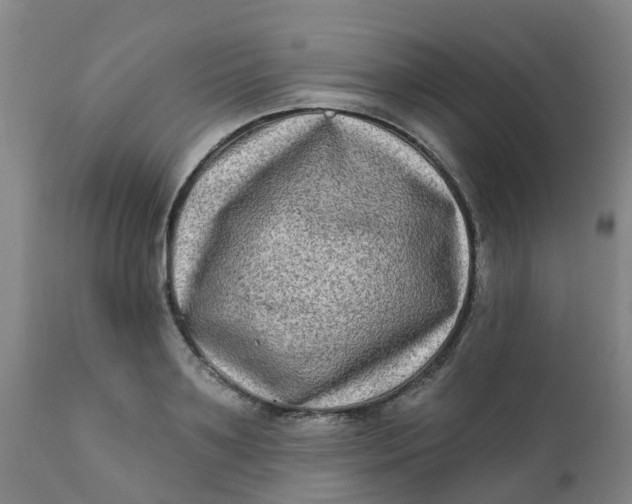 X0000111790891200908131409