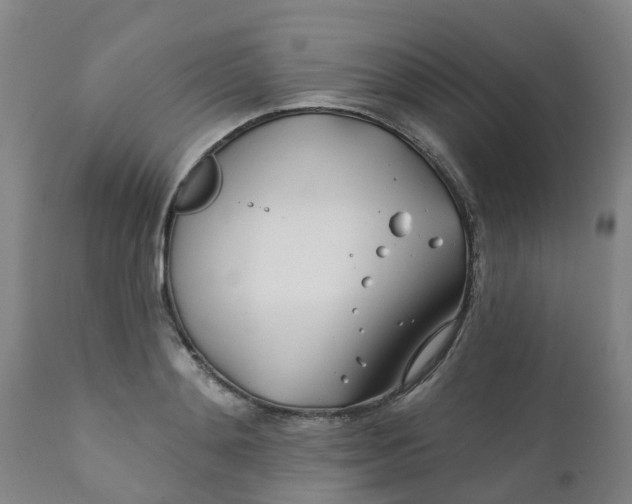 X0000111790892200908131409