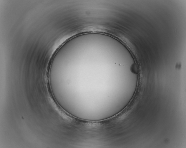 X0000111790893200908131409