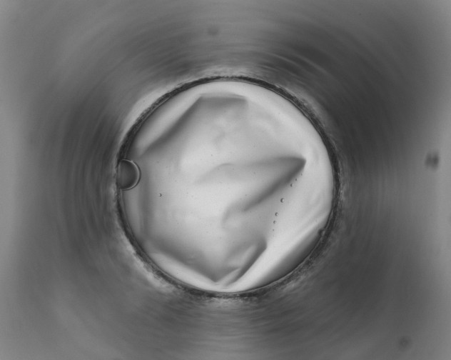 X0000111790894200908131409