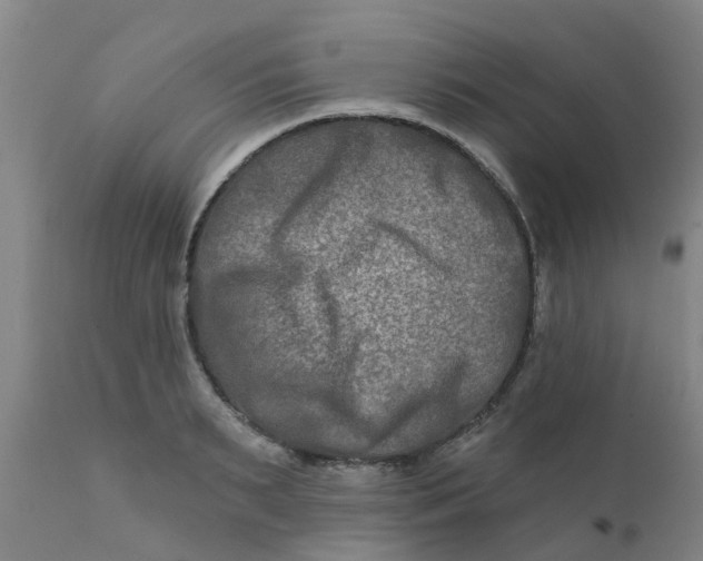 X0000111790895200908131409