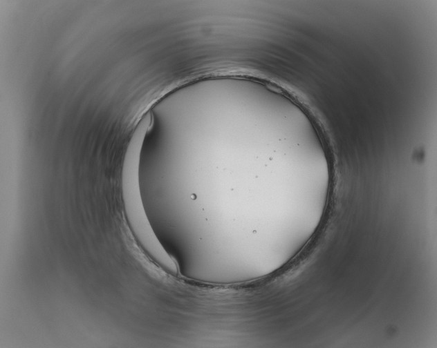 X0000111790897200908131409