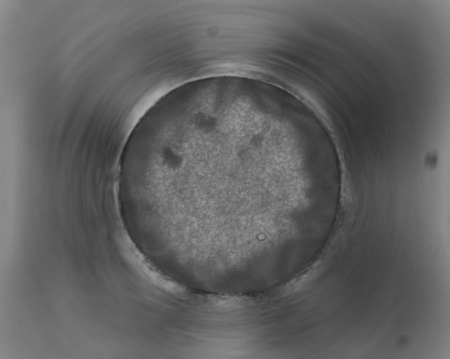 X0000111790899200908131409