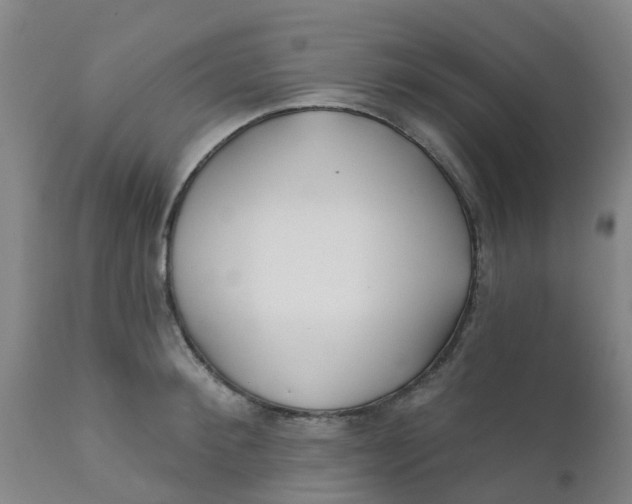 X0000111790900200908131409