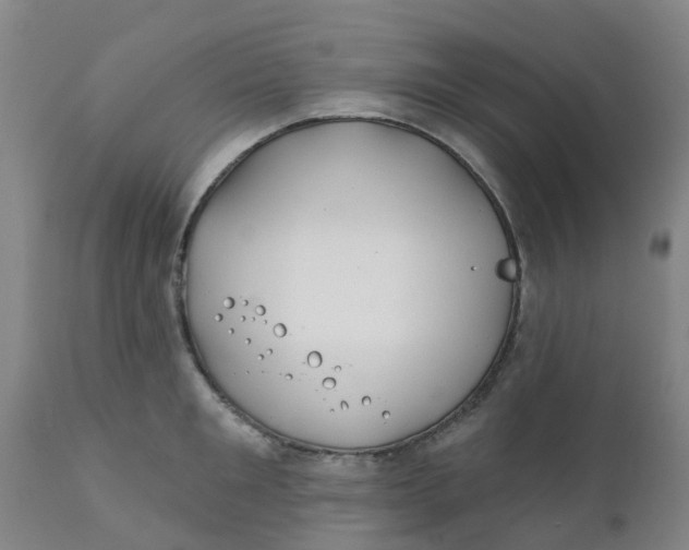 X0000111790901200908131409