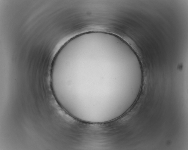 X0000111790904200908131409