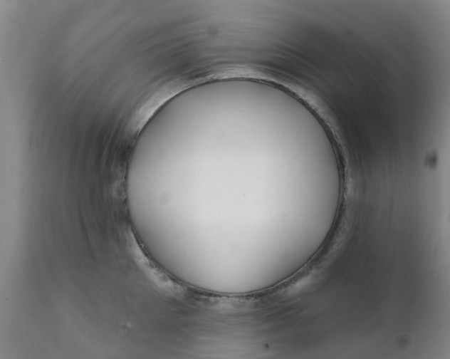 X0000111790905200908131409