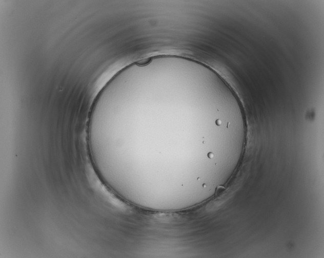 X0000111790906200908131409