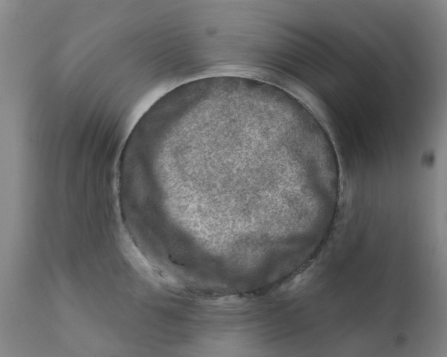 X0000111790907200908131409