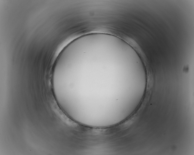 X0000111790908200908131409