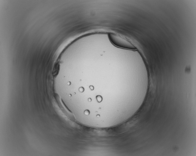 X0000111790911200908131409