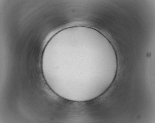 X0000111790912200908131409