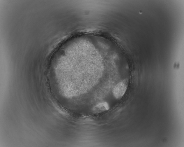 X0000111790913200908131408