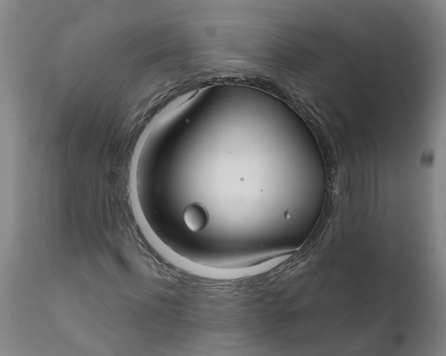 X0000111790916200908131408