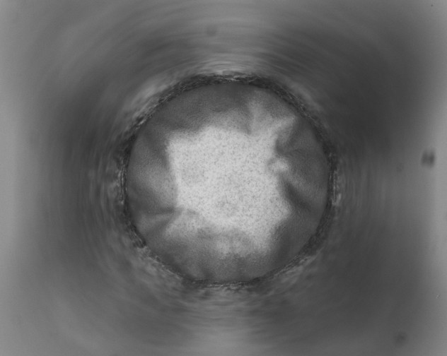 X0000111790917200908131408