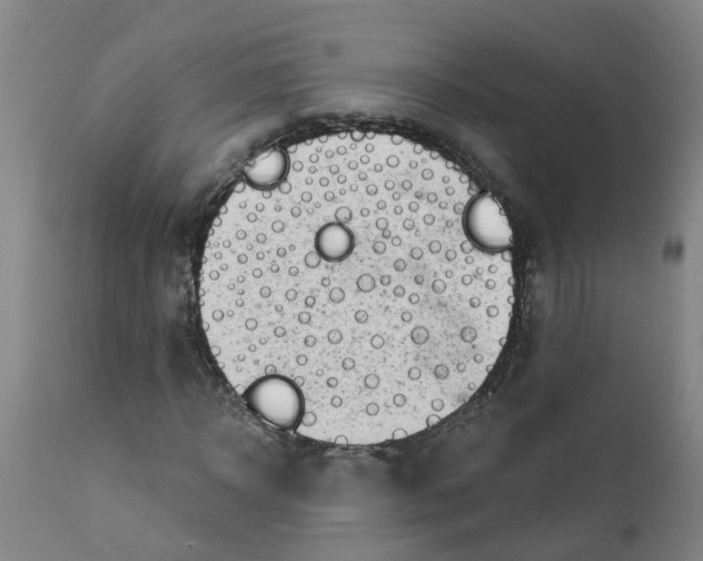 X0000111790918200908131408