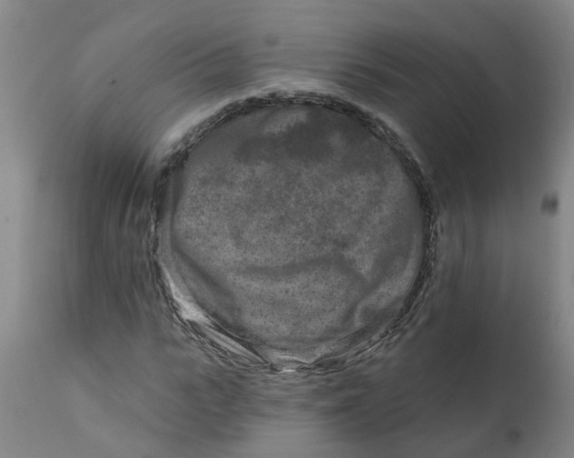 X0000111790919200908131408