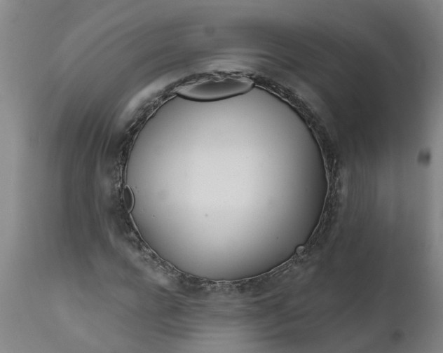 X0000111790920200908131408