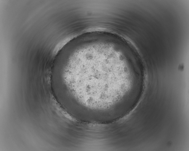 X0000111790921200908131408