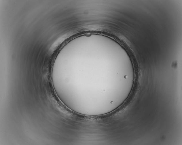 X0000111790922200908131409