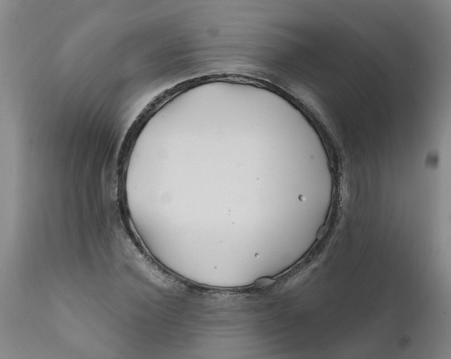 X0000111790924200908131409