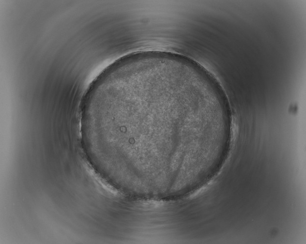 X0000111790925200908131409