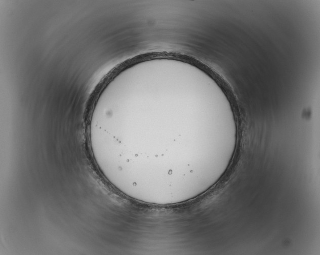 X0000111790927200908131409