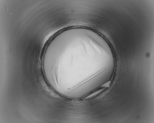 X0000111790928200908131409