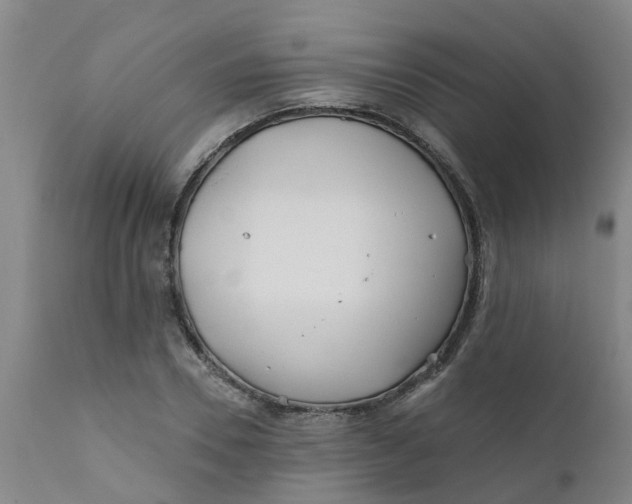 X0000111790930200908131409