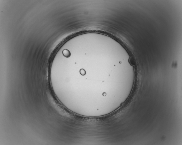 X0000111790934200908131409