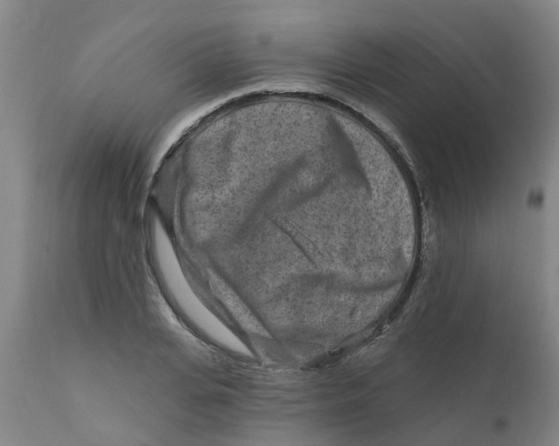 X0000111790935200908131409