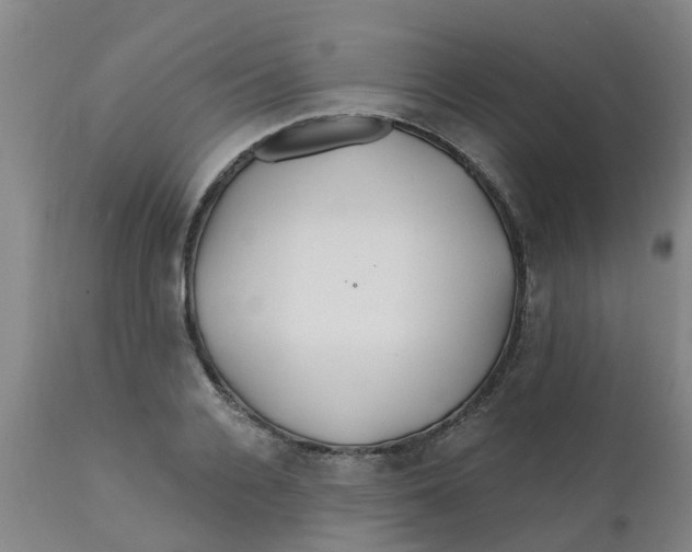 X0000111790936200908131409