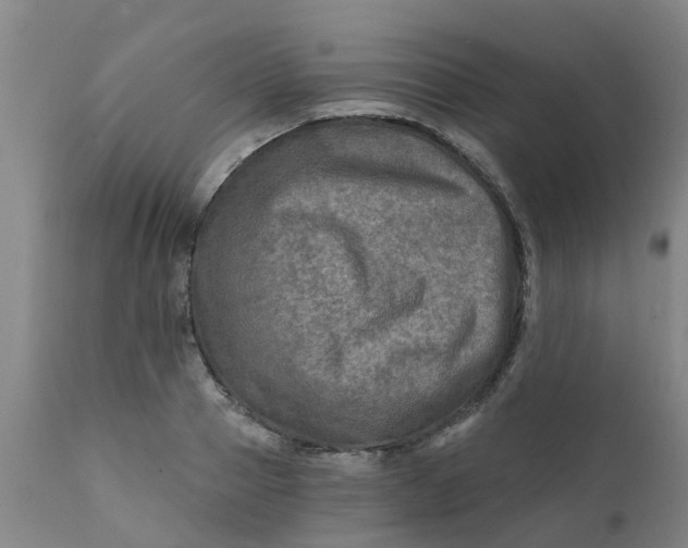 X0000111790937200908131409