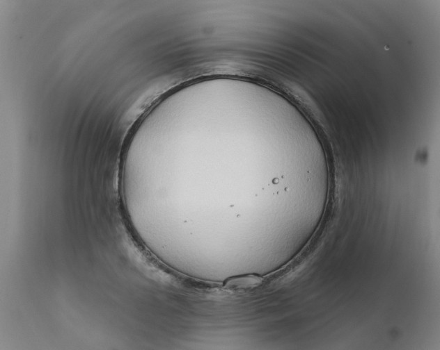 X0000111790938200908131409