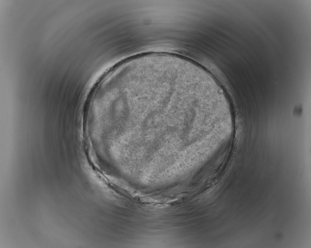 X0000111790939200908131409