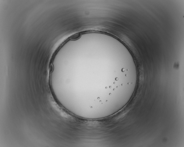 X0000111790940200908131409