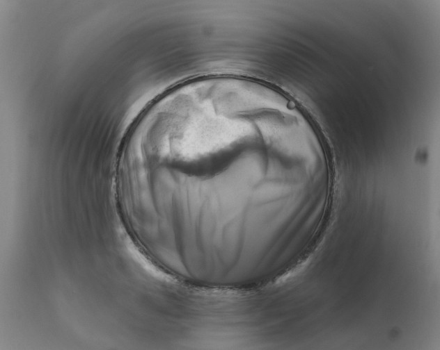 X0000111790941200908131409