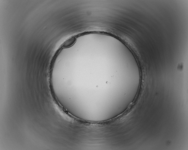 X0000111790942200908131409