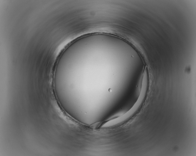 X0000111790944200908131409