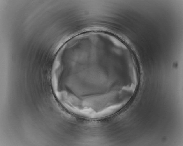 X0000111790945200908131409