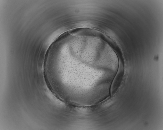 X0000111790946200908131409