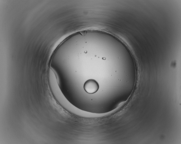 X0000111790948200908131409