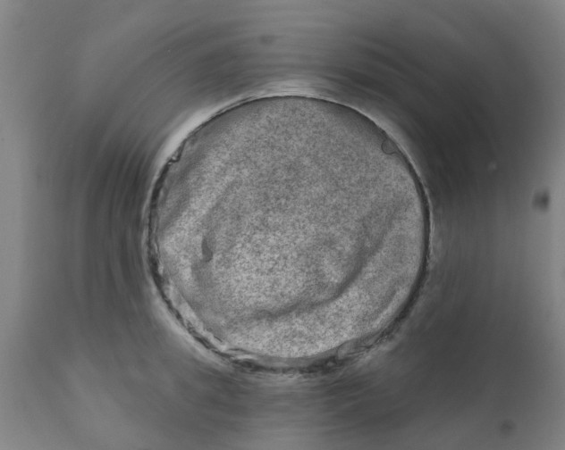 X0000111790949200908131409