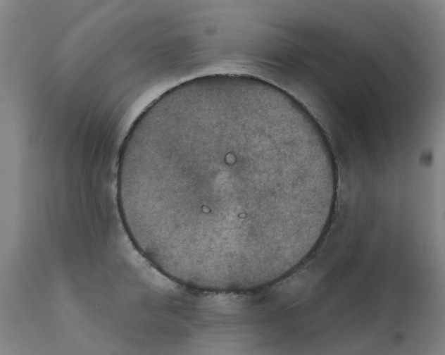 X0000111790950200908131409