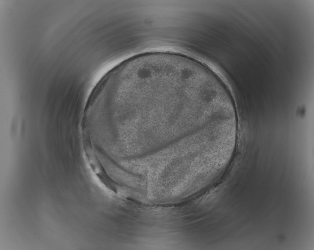 X0000111790951200908131409