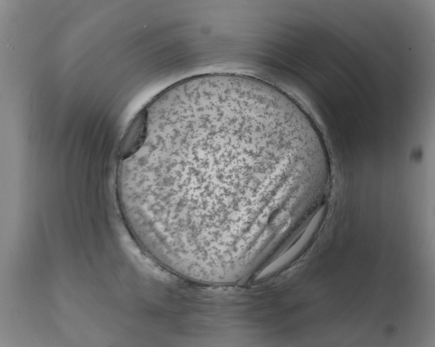 X0000111790952200908131409