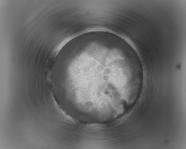 X0000111790953200908131409