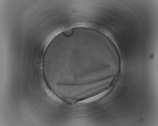 X0000111790954200908131409