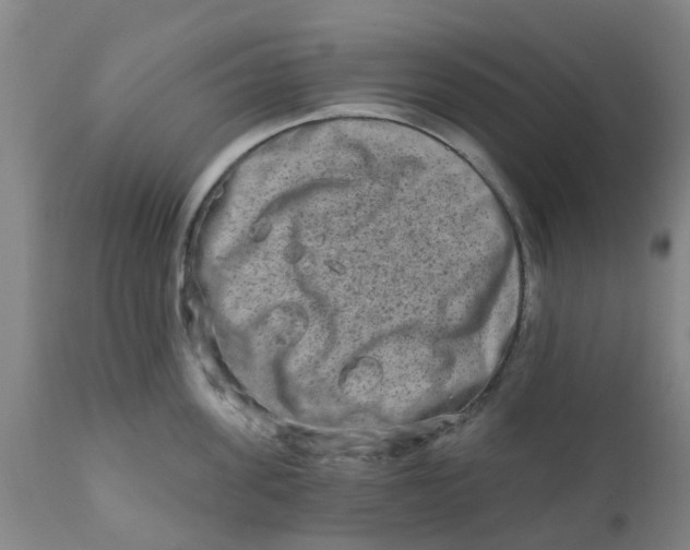 X0000111790955200908131409