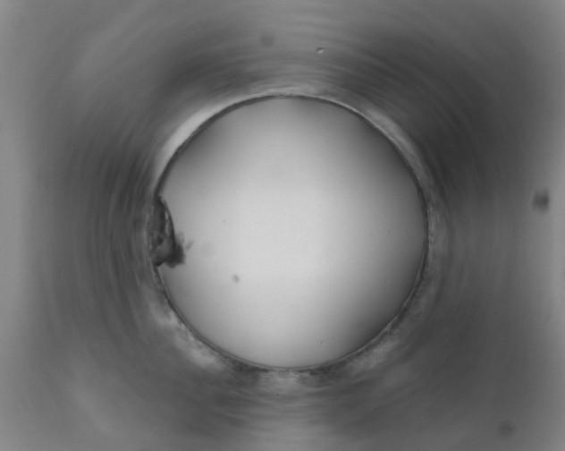 X0000111790956200908131409